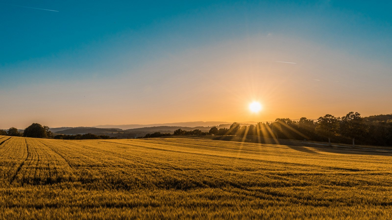 Riego y Agricultura